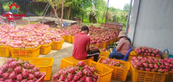 Các loại sóng nhựa, ki nhựa phổ biến