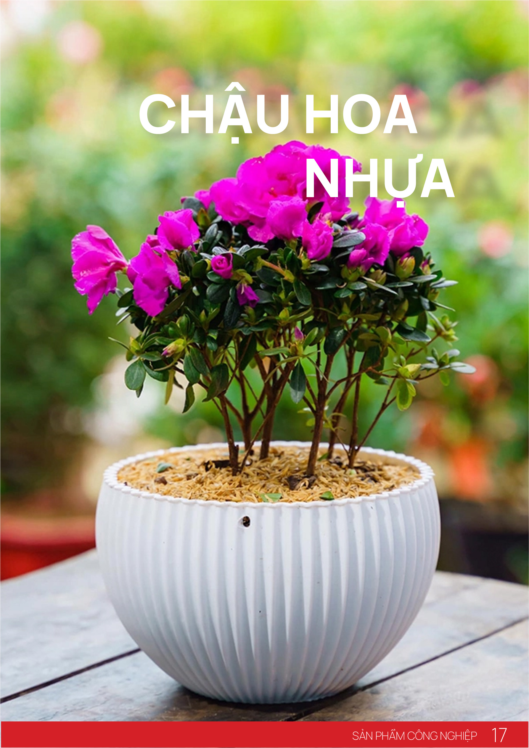 Chậu hoa nhựa tại Việt Nhật Group