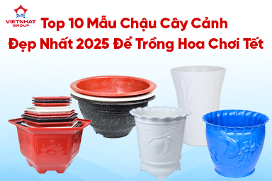 Top 10 mẫu chậu cây cảnh đẹp nhất để chơi Tết 2025 để trông hoa chơi Tết